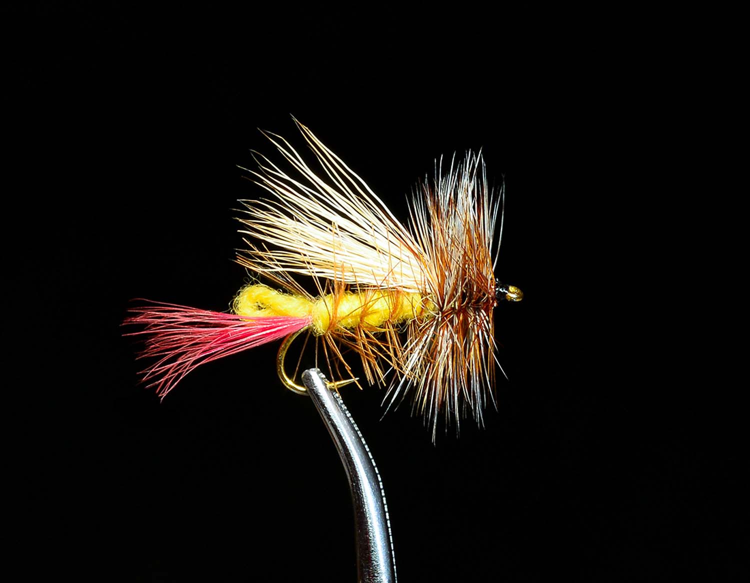 Elk Hair Hopper
