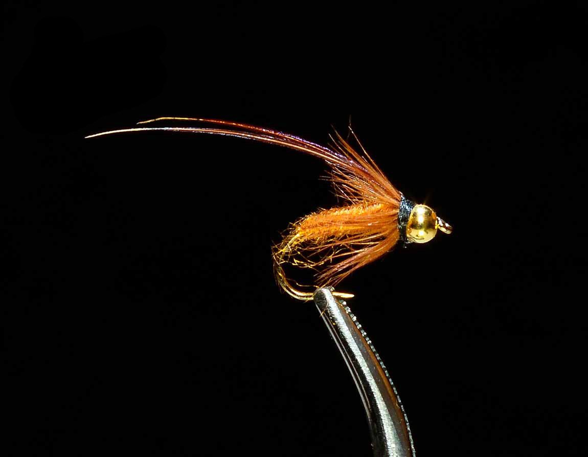 Caddis Pupa