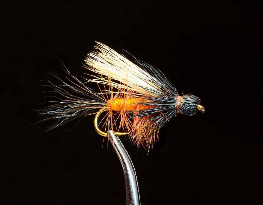 Henrys Fork Salmonfly