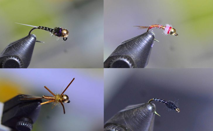 Four-Kinds-of-Fly-Patterns