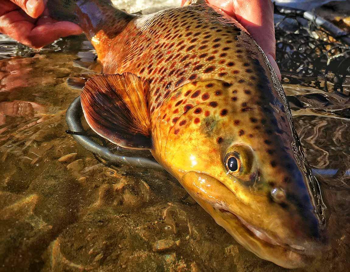 3 Ways to Catch More Fish