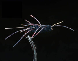 pats-rubberleg-stonefly-black-sku-1008