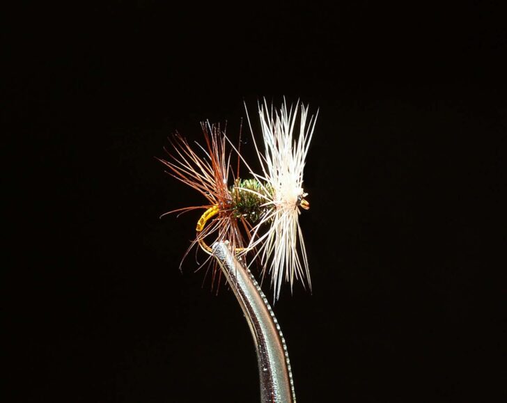 Midge-Assortment