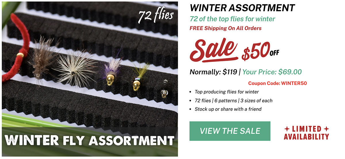 Winter Fly Assortment Sale