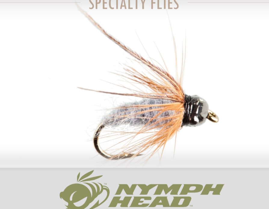 Nymph-Head Caddis Larva/Pupa (6 pack)