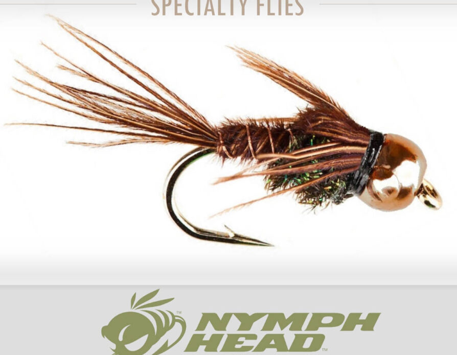 Nymph-Head Pheasant Tail (6 pack)