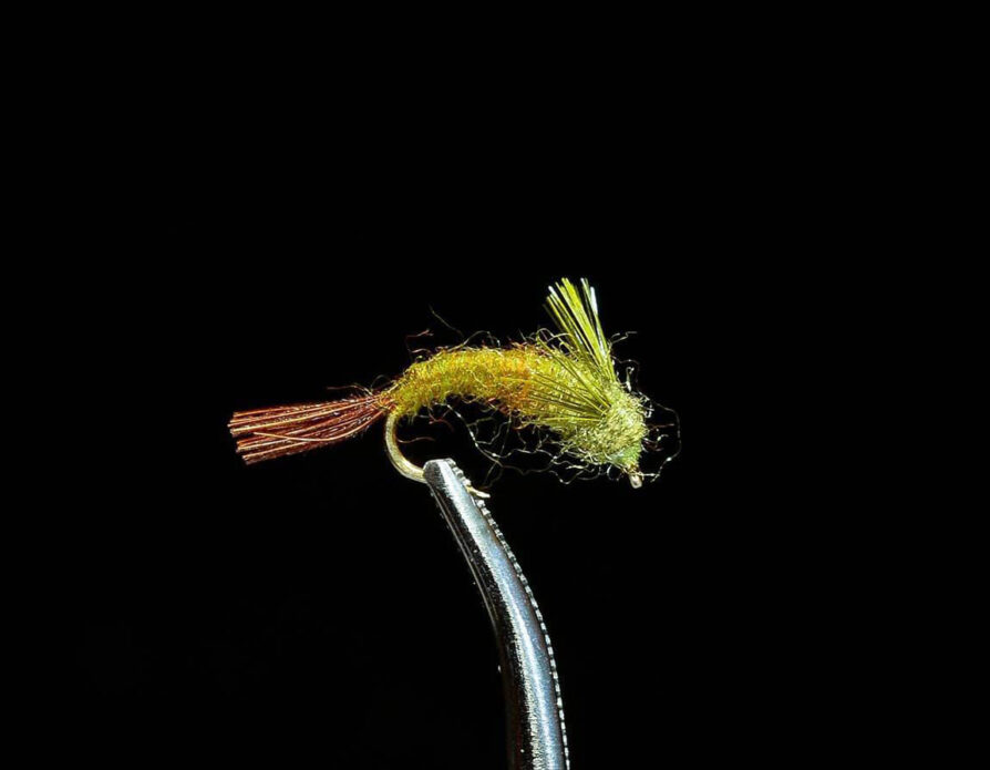 Mayfly Emerger