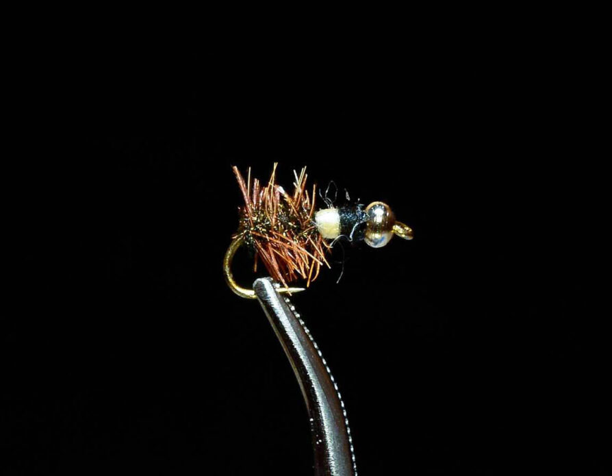 Beadhead Cased Caddis