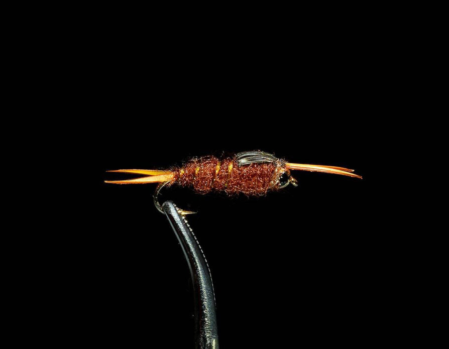 Beadhead Stonefly Nymph