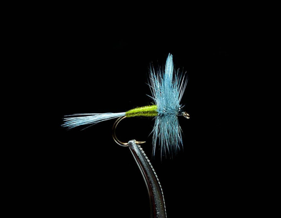 Blue Wing Olive