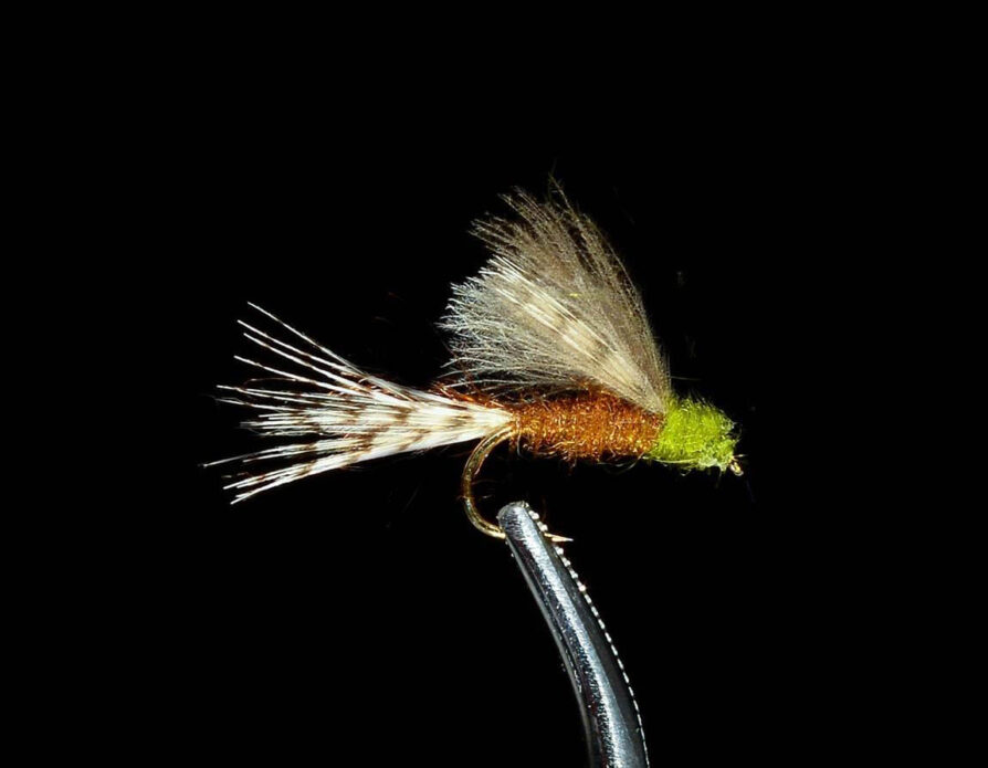 CDC Blue Wing Olive Cripple Emerger