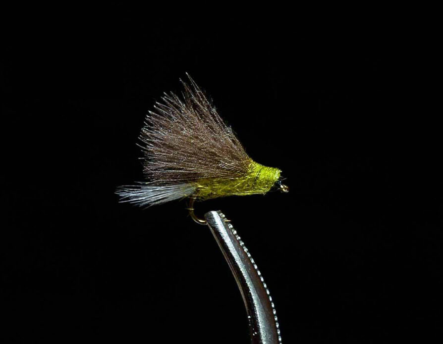 CDC BWO Tailwater Dun