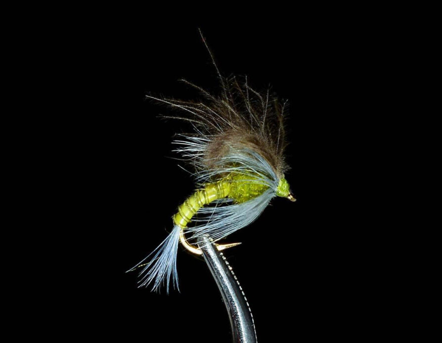 CDC Emerger BWO Loopwing