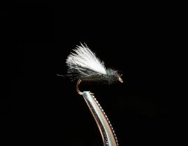 CDC Midge Adult
