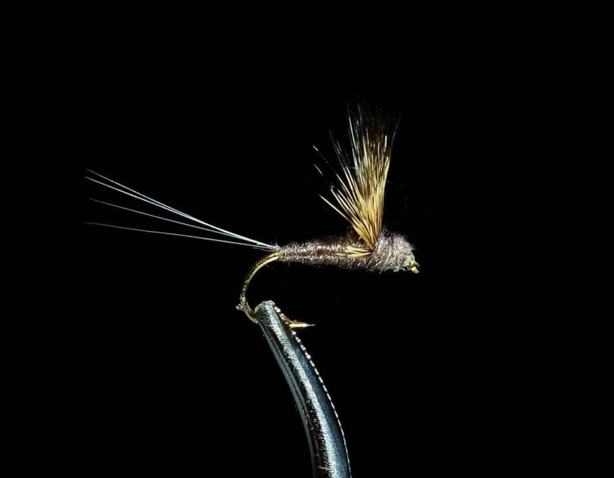 Comparadun Dark Hendrickson