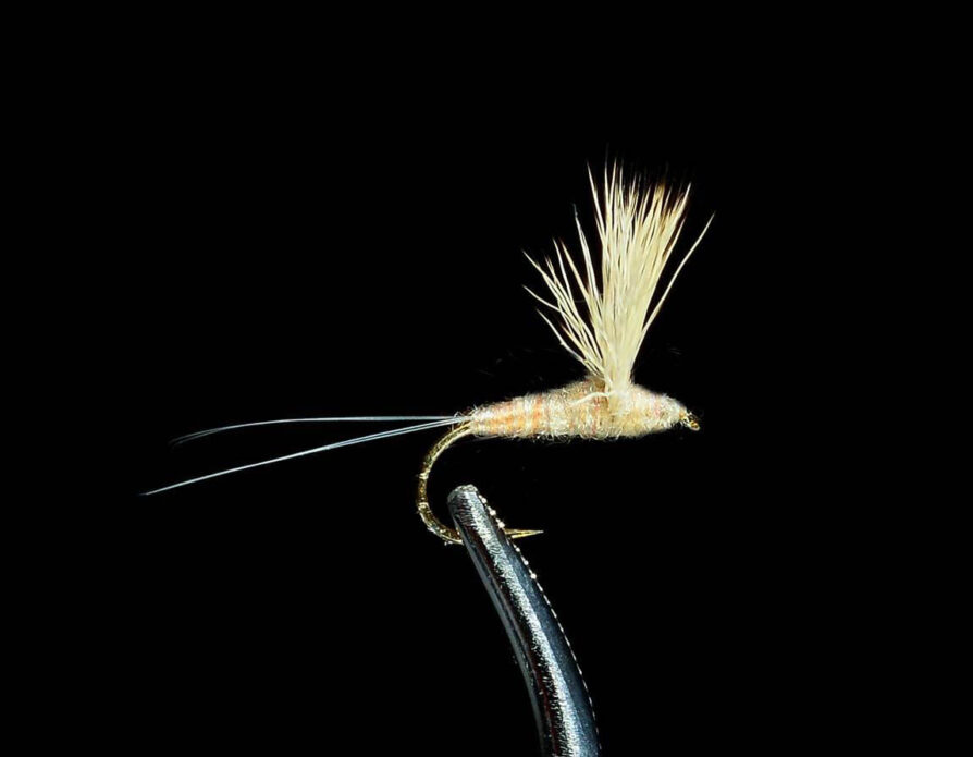 Comparadun Light Hendrickson