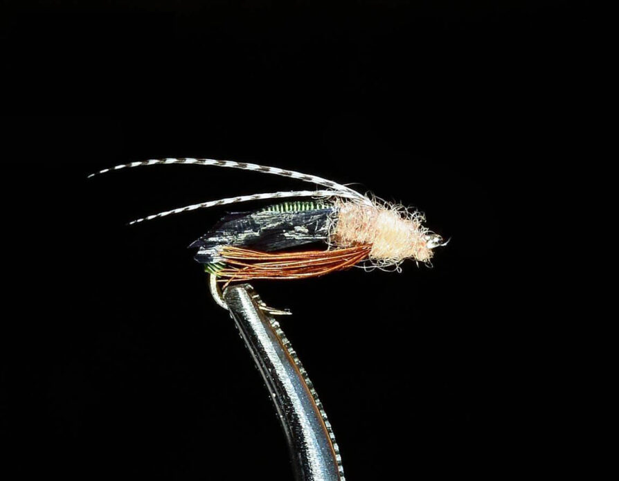 Electric Caddis Pupa