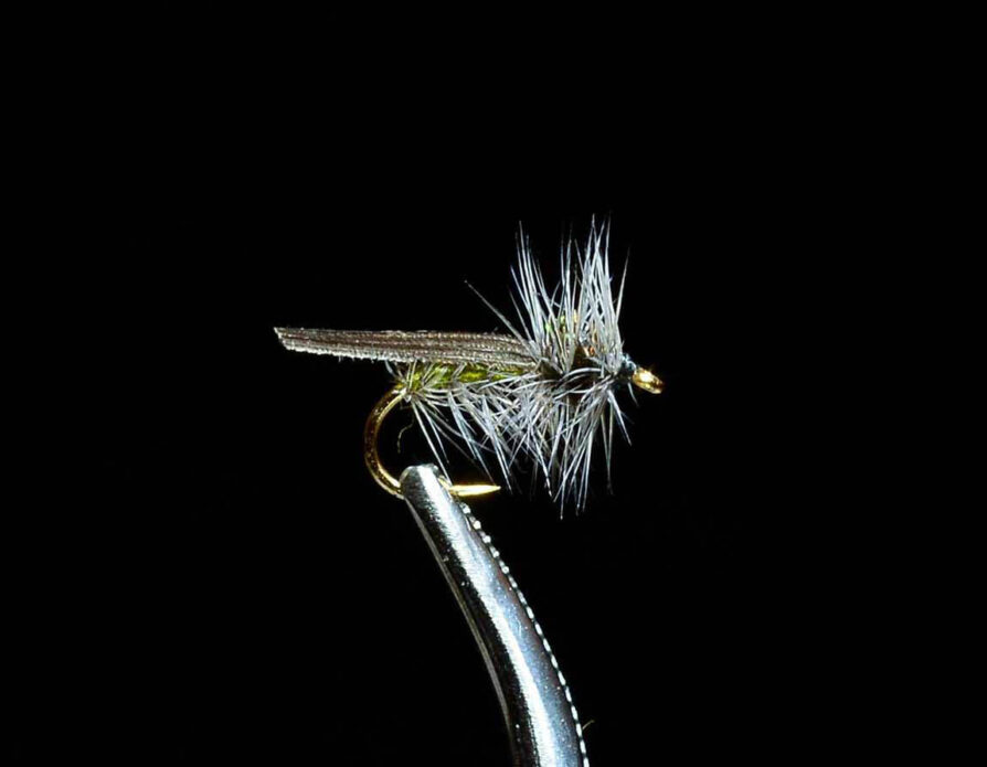 Hemmingway Caddis
