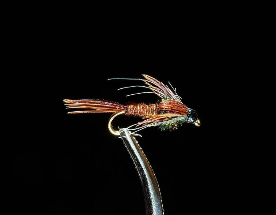 Ice Pheasant Tail