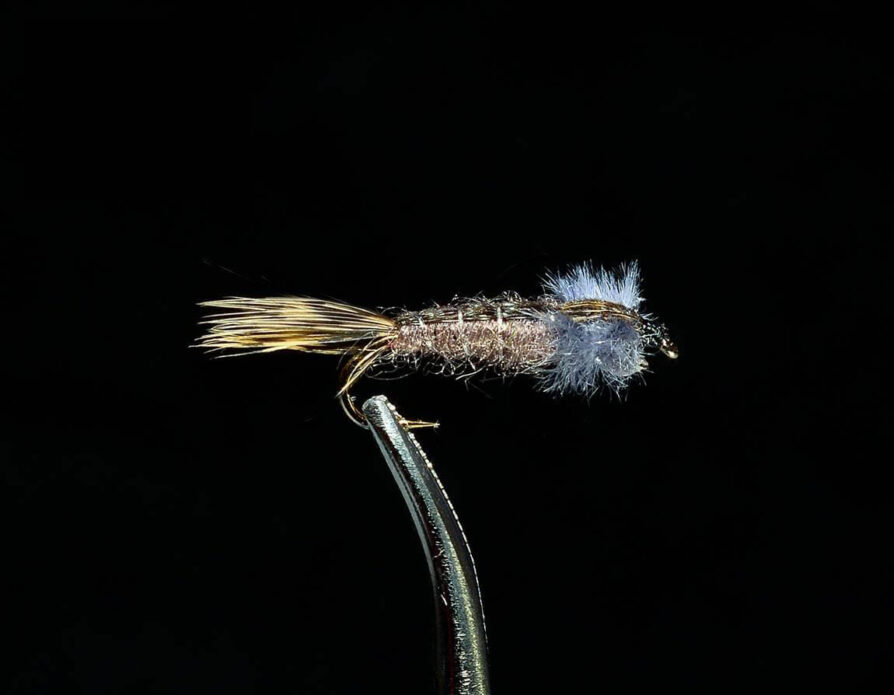 Improved Pheasant Tail