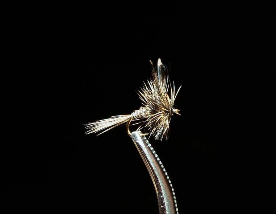 Mosquito Dry Fly
