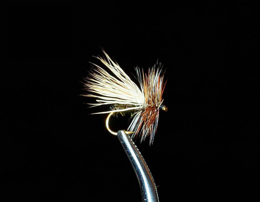 Peacock Caddis