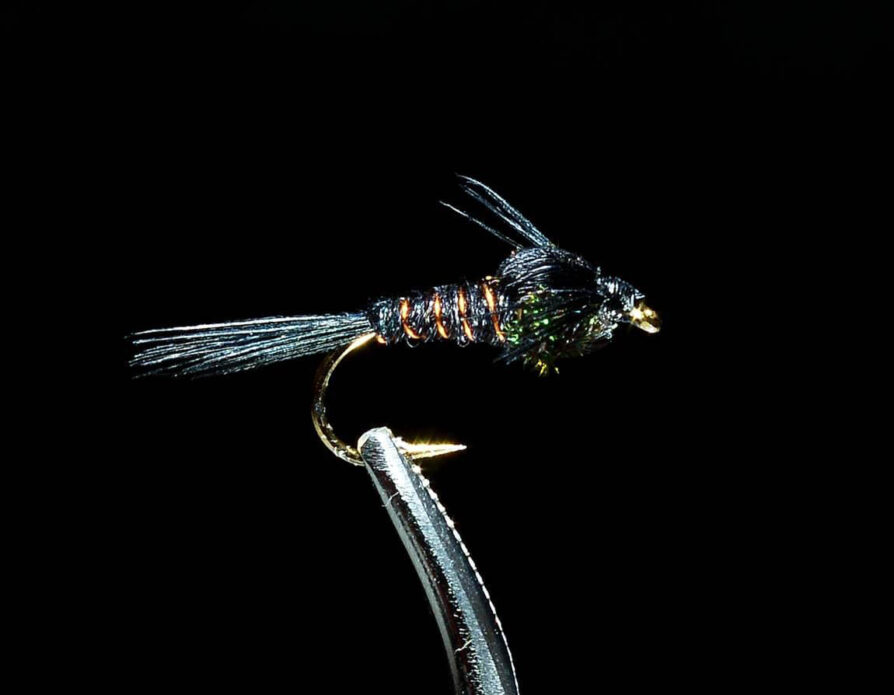 Pheasant Tail