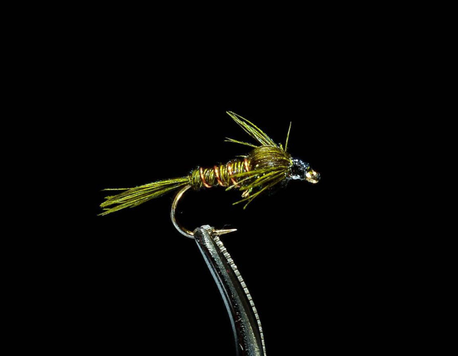 Pheasant Tail